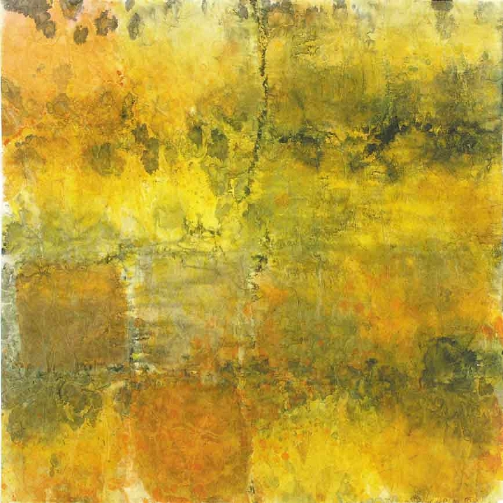 05-territoire-66x66cm-encre-sur-papier